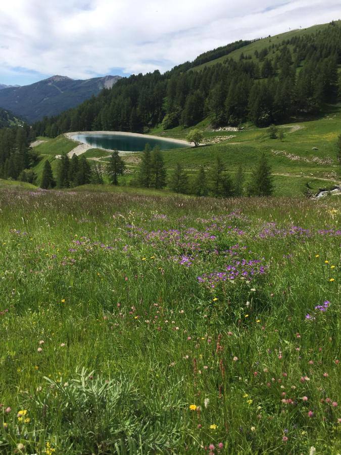 Studio Montagne Allos Exteriér fotografie